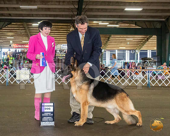 German Shepherd Dog #19 Sat WD Judge Barbara Alderman__JJ_8121_Conroe2019-HR3