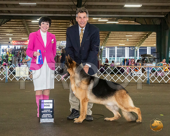 German Shepherd Dog #19 Sat WD Judge Barbara Alderman__JJ_8125_Conroe2019-HR3