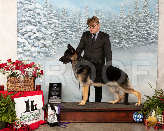 German Shepherd Dog #9 Fri Judge Joao Machado__SR_4693_Conroe2019-HR3