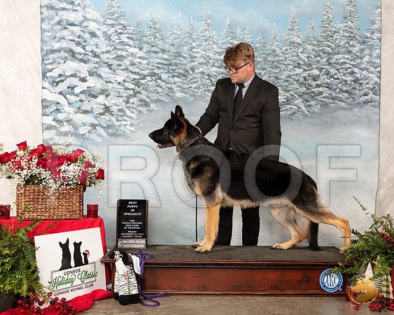 German Shepherd Dog #9 Fri Judge Joao Machado__SR_4695_Conroe2019-HR3