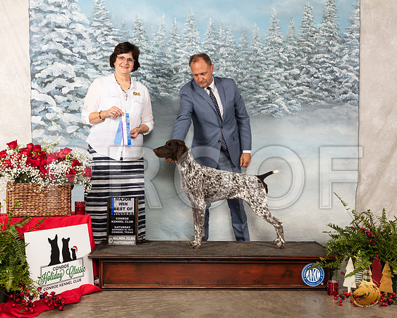 German Shorthaired Pointer #24 Sat BOW Judge Danelle Brown__SR_4766_Conroe2019-HR3