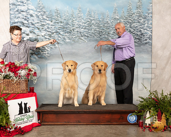 Golden Retriever #36 #23 Sat__SR_4737_Conroe2019-HR3