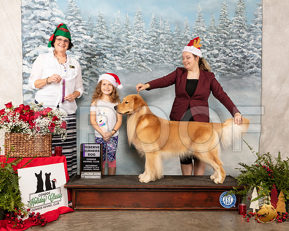 Golden Retriever #43 Sat RWD Judge Danelle Brown__SR_4751_Conroe2019-HR3