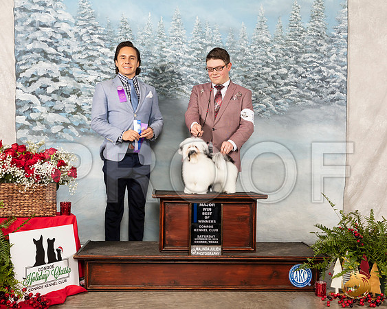 Havanese #10 Sat BOW Maj Judge Juan Miranda__SR_4780_Conroe2019-HR3