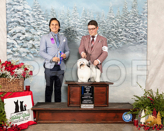Havanese #10 Sat BOW Maj Judge Juan Miranda__SR_4781_Conroe2019-HR3