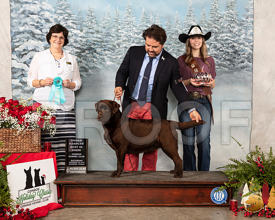Labrador Retriever #52 Sat OHBIS Judge Danelle Brown__SR_4898_Conroe2019-HR3