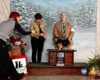 Norwich Terrier #5 Sat BOB Judge ANN F YUHASZ
