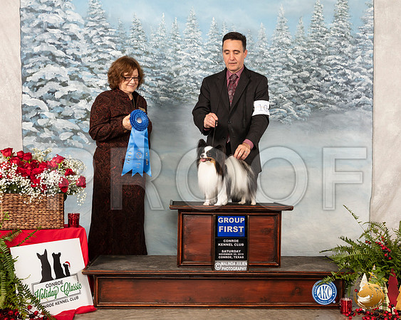 Papillon #10 Sat G1 Judge Elizabeth Muthard__SR_4957_Conroe2019-HR3