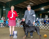 Rottweiler #25 Sat Maj NCh Judge Debra Thornton