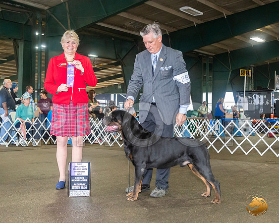 Rottweiler #25 Sat Maj NCh Judge Debra Thornton__JJ_7982_Conroe2019-HR3