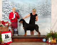 Rottweiler #8 Sat BOW Judge Debra Thornton