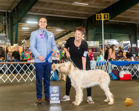 SPINONI ITALIANI #12 Sat 6 to 9 1st Judge Juan Miranda