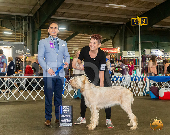 SPINONI ITALIANI #12 Sat 6 to 9 1st Judge Juan Miranda__JJ_8004_Conroe2019-HR3