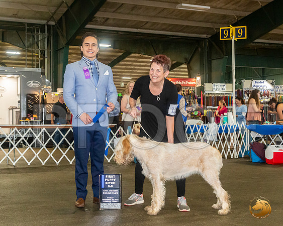 SPINONI ITALIANI #12 Sat 6 to 9 1st Judge Juan Miranda__JJ_8005_Conroe2019-HR3