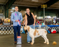 SPINONI ITALIANI #16 Sat BOS Judge Juan Miranda