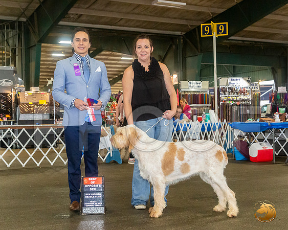 SPINONI ITALIANI #16 Sat BOS Judge Juan Miranda__JJ_7998_Conroe2019-HR3