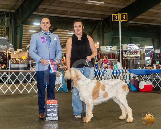 SPINONI ITALIANI #16 Sat BOS Judge Juan Miranda__JJ_8000_Conroe2019-HR3