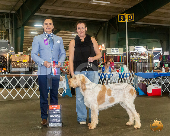SPINONI ITALIANI #16 Sat BOS Judge Juan Miranda__JJ_8001_Conroe2019-HR3