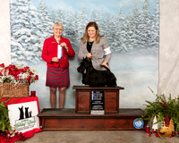 Scottish Terrier #5 Sat BOW Maj NCh Judge Debra Thornton
