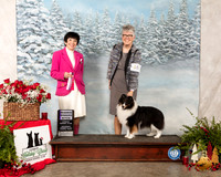 Shetland Sheepdog #38 Sat RWB Maj Judge Barbara Alderman