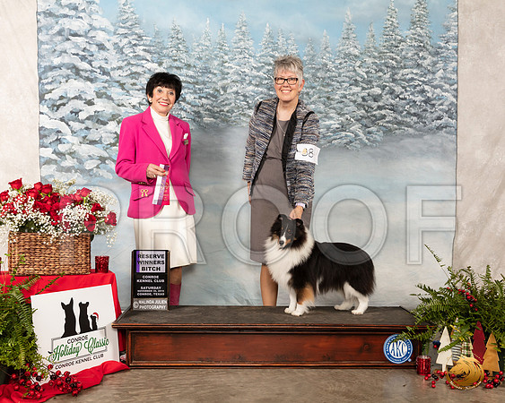 Shetland Sheepdog #38 Sat RWB Maj Judge Barbara Alderman__SR_4759_Conroe2019-HR3
