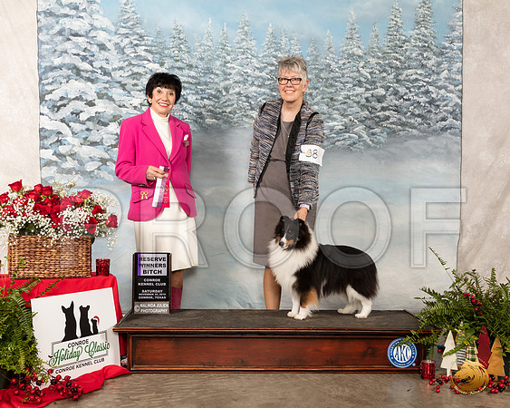 Shetland Sheepdog #38 Sat RWB Maj Judge Barbara Alderman__SR_4760_Conroe2019-HR3