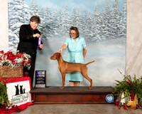 Vizsla #14 Sat WB Maj Judge Charles Olvis