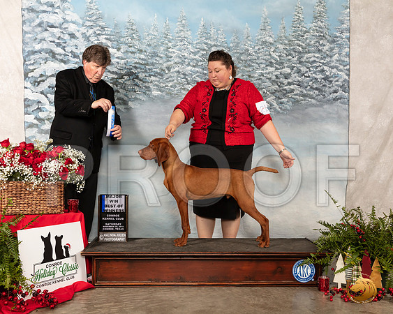 Vizsla #21 Sat BOW Maj Judge Charles Olvis__SR_4726_Conroe2019-HR3