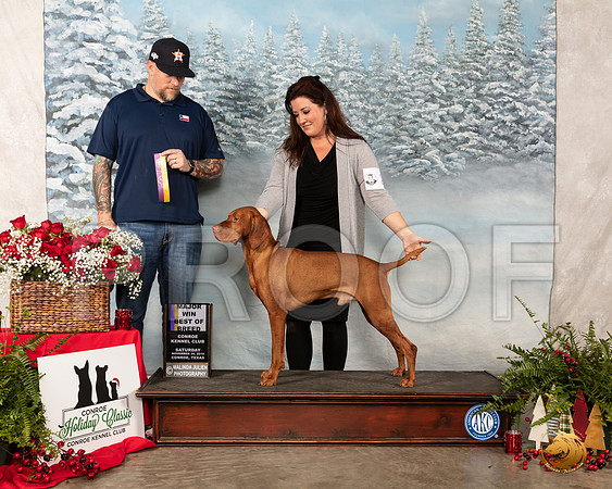 Vizsla #23 Sat BOB Maj__SR_4742_Conroe2019-HR3