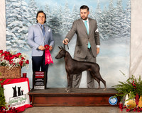 Xolo #6 Sat G2 Judge Juan Miranda