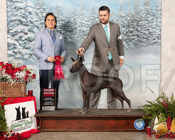 Xolo #6 Sat G2 Judge Juan Miranda__SR_4917_Conroe2019-HR3