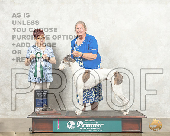 Greyhound #105 VBOB Judge Marian Campbell_MMJ_6812_Premier_2022_HR3