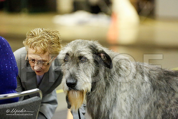 _RH_1396-BeltonJan2015IABCA-HR3
