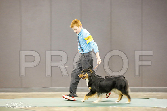 _JN_1329-BeltonJan2015-HR3