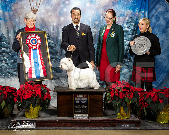_ST_8392-DallasDec2014-HR3