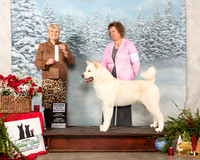 Akita #15 Sun SD Maj Judge Debra Thornton