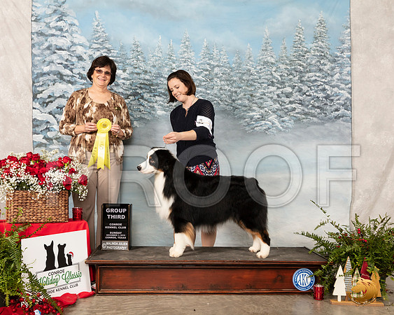 Australian Shepherd #17 Sun G3 Judge Danelle Brown__SR_5348_Conroe2019-HR3