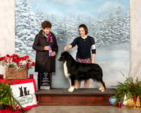 Australian Shepherd #21 Sun WD BOW Maj Ann F Yuhasz