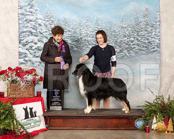 Australian Shepherd #21 Sun WD BOW Maj Ann F Yuhasz__SR_5137_Conroe2019-HR3