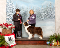 Australian Shepherd #9 Sun OHG1 Judge Ann F Yuhasz