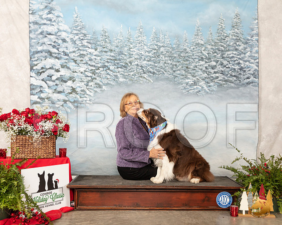 Australian Shepherd Sun Custom__SR_5177_Conroe2019-HR3