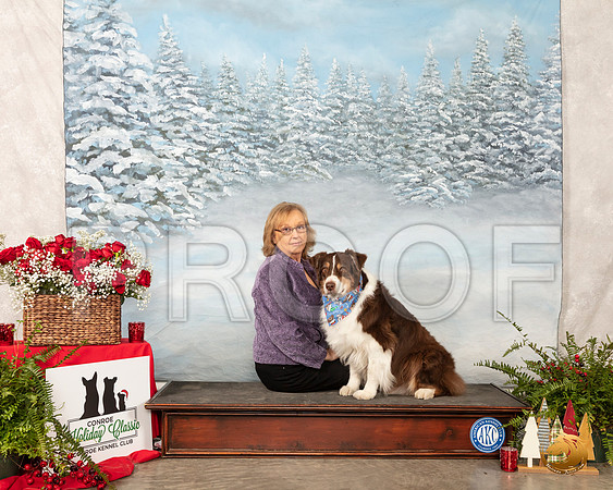Australian Shepherd Sun Custom__SR_5179_Conroe2019-HR3