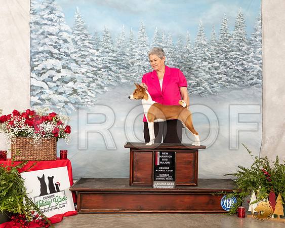 Basenji #14 Sun BOS Maj__SR_5122_Conroe2019-HR3