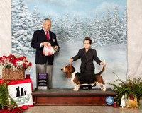 Basset Hound #J400 Sun RBJr Judge Lou M Guerrero