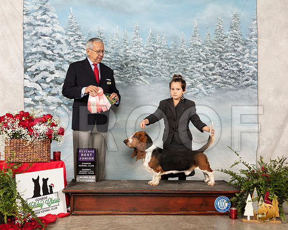 Basset Hound #J400 Sun RBJr Judge Lou M Guerrero__SR_5333_Conroe2019-HR3