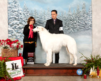 Borzoi #7 Sun G2 Judge Elizabeth Muthard