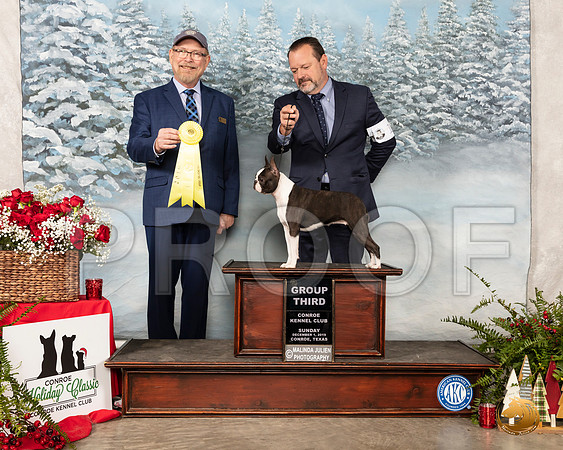 Boston Terrier #14 Sun G3 Judge Tim Robbins__SR_5262_Conroe2019-HR3