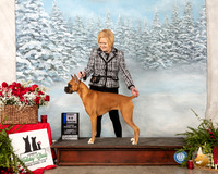 Boxer #6 Sun 6 to 9 1st