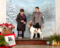Brittany #9 Sun WD Judge Ann F Yuhasz