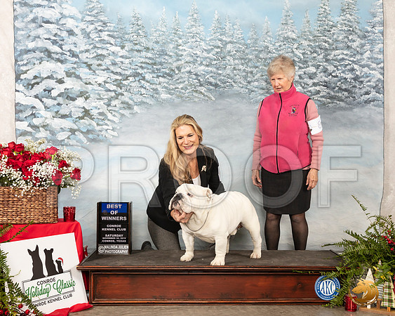 Bulldog #9 Sat Sun BOW WD Judge Robbins Alderman__SR_4982_Conroe2019-HR3